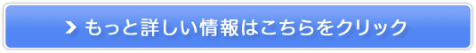 RhuHv̂񂹁y葺{XTCgz̔TCg
